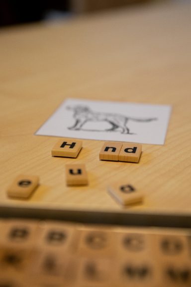 Hund Logopädische Praxis Theresa Baumbach Hund